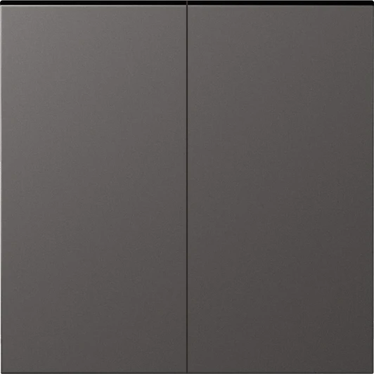 DS29945 Клавиша для перекрёстного переключателя 2-я, матовый титан Donel S08 DS29945