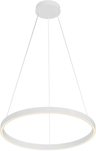 MOD058PL-L32WK Подвесной светильник Maytoni Rim MOD058PL-L32WK (LED, 220V, на тросе, кольцо)