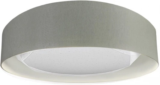 48205.23.18.64GR Потолочный светильник Seven Fires Лагом 48205.23.18.64GR