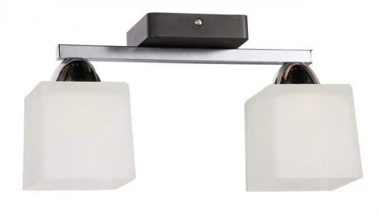 177-41-22 Потолочная люстра Дубравия Старк 177-41-22