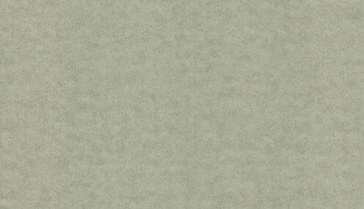 57329 Обои виниловые Marburg Padua Classic 57329 10,05 x 1,06 м