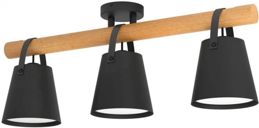 43635 Потолочный светильник Boyle 43635