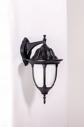 92102/04 Bl Настенный фонарь уличный Oasis Light GENUYA 92102/04 Bl (220V, фонарь, IP44)