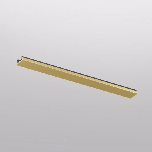 TR5736-SB Декоративная заглушка желоба трека Denkirs Shine Base TR5736-SB 20см, сатинированная латунь (48V)