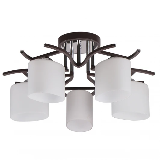 MD.2441-5-S BR+CH Потолочная люстра Imex MD.2441-5-S BR+CH