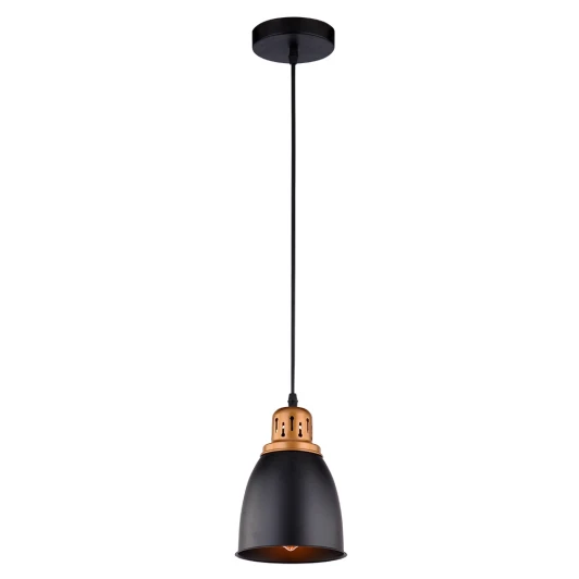 A4248SP-1BK Подвесной светильник Arte Lamp Eurica A4248SP-1BK (220V, на проводе, круглые)