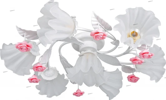 024/7PL Myone 024 024/7PL