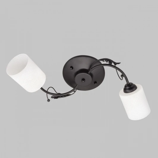 MD.0401-2-S-BK Потолочная люстра Imex MD.0401-2-S-BK