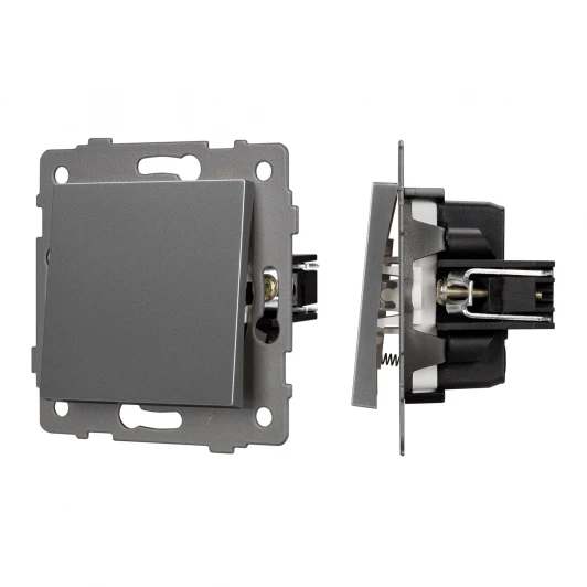 049881 Механизм выключателя одноклавишный самовозвратный SWT-MKR1-PL-GR-V (250V, 10A) (Arlight) 049881