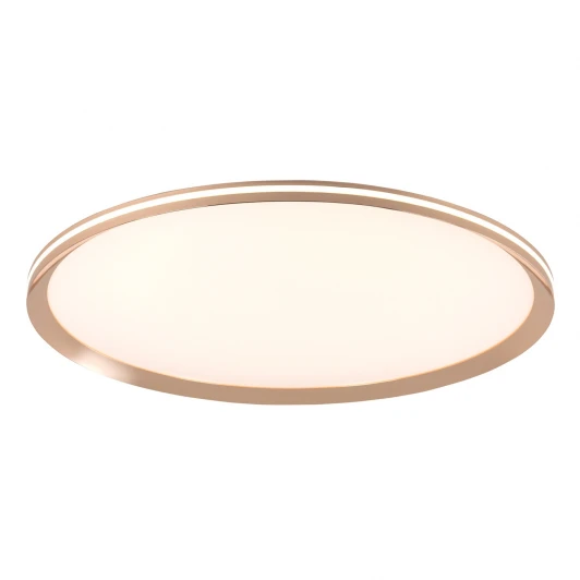 L3020-600 GD Потолочный светильник светодиодный с пультом с регулировкой цветовой температуры LED4U LED4U L3020-600 GD