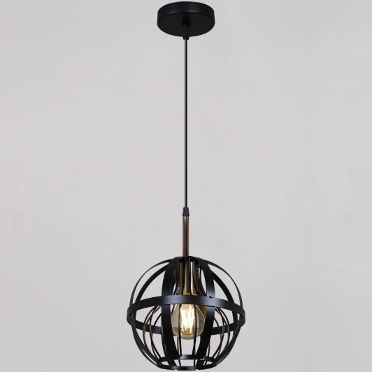 05588-0.9-01 BK Подвесной светильник Reluce 05588-0.9-01 BK (220V, на проводе)