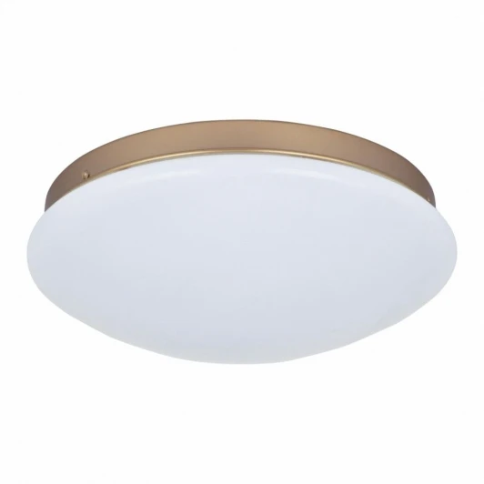 2466-2C Потолочный светильник F-Promo Ledante 2466-2C
