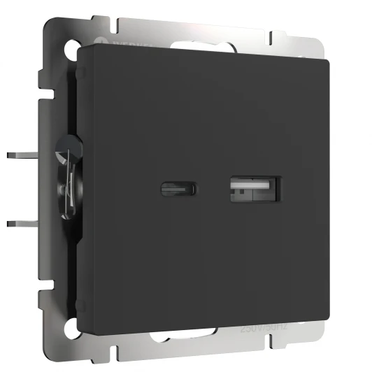 W1171808 Розетка USB тип A+С (черный матовый) W1171808 (a049280)