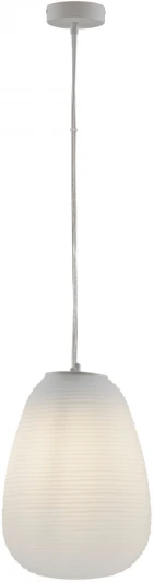 V11345-1P Подвесной светильник Moderli Arden V11345-1P (220V, на проводе, круглые)