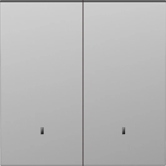 DS28537 Клавиша 2-я с подсветкой, сталь Donel S08 DS28537