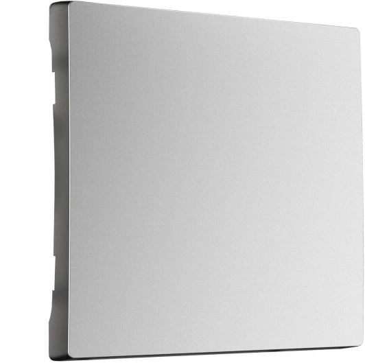 W1119065 Клавиша для выключателя перекрестного (серебряный матовый) Werkel W1119065 (a063622)