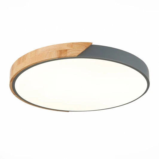 SLE200972-01 Потолочный светильник Evoluce Festa SLE200972-01