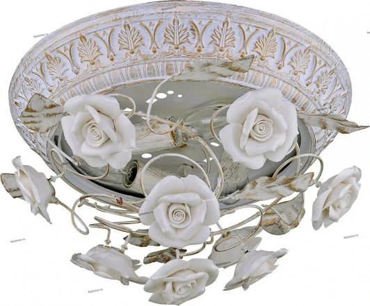 086/3PL Myone 086 086/3PL