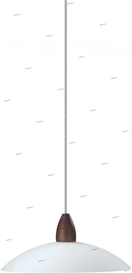 37625-44-10 Massive Edgar 37625-44-10