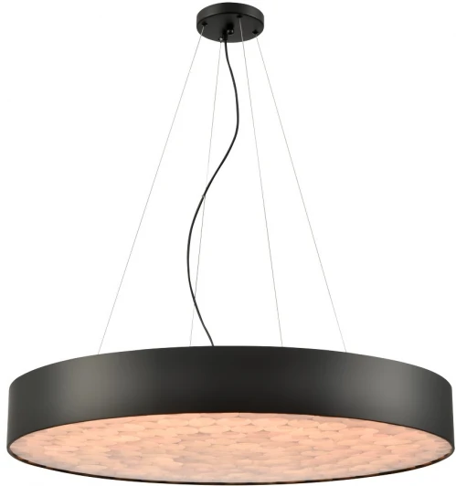 WE510.02.723 Подвесной светильник Wertmark Edera WE510.02.723 (LED, 220V, на тросе, круглые)