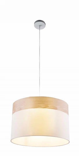 TL1121-1H Подвесной светильник Toplight Mabel TL1121-1H