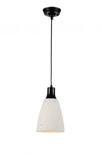 SL236.453.01 Подвесной светильник ST Luce SL236.453.01