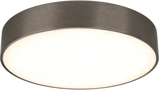 APL.0114.19.24 Потолочный светильник круглый Aployt Evon APL.0114.19.24 (LED, 220V, круглые)