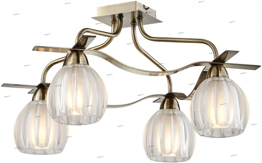 2300010/4C Snowlight 2300010 2300010/4C