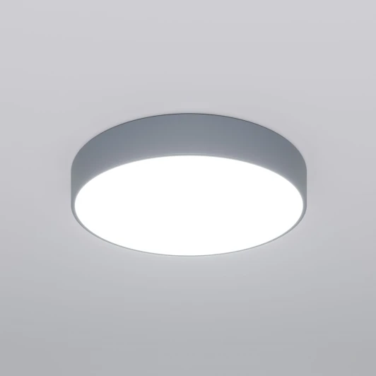 90319/1 серый Потолочный светильник Eurosvet Entire 90319/1 серый