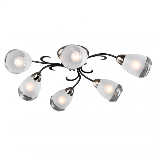 GRLSP-9952 Потолочная люстра Lussole Lgo Oakland GRLSP-9952