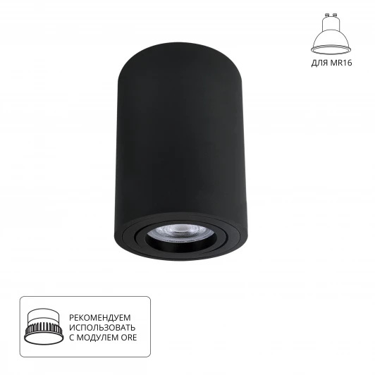 A1566PL-1BK Накладной потолочный светильник Arte Lamp Sentry A1566PL-1BK (220V, круглые)