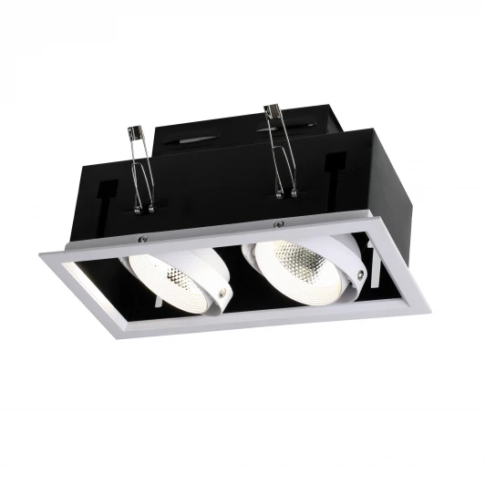 1985-2C Встраиваемый точечный светильник Favourite Flashled 1985-2C