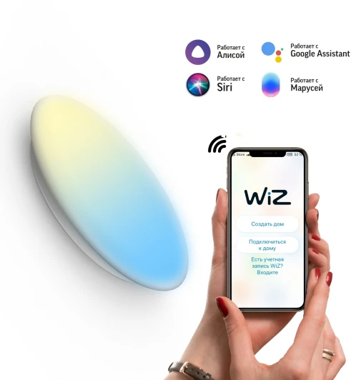 2060112 Настенно-потолочный светильник Gauss SmartHome 2060112 (регулировка яркости, LED, 220V, управление смартфоном, голосовое управление, умный дом - Алиса, Маруся, Сири)