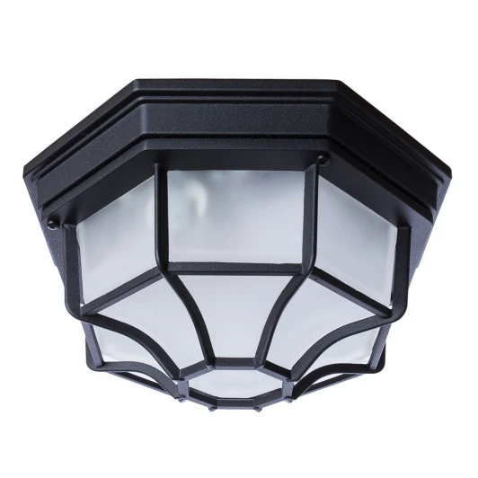 A3100PL-1BK Потолочная люстра Arte Lamp Pegasus A3100PL-1BK (220V, IP44)