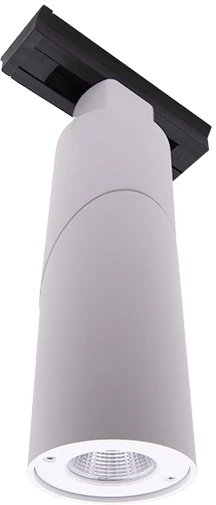 LDT-RWT-10W-WW Трековый светильник DesignLed LDT LDT-RWT-10W-WW