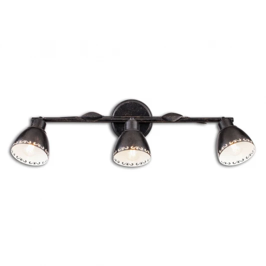 CL509532 Спот Citilux Робуста CL509532