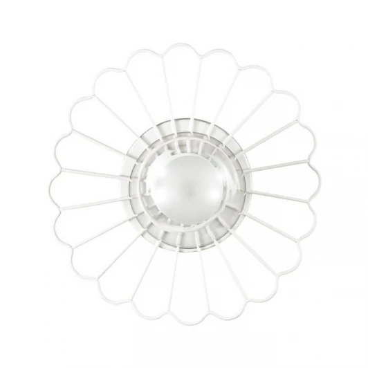 3780/1W Настенно-потолочный светильник Lumion Mimi 3780/1W