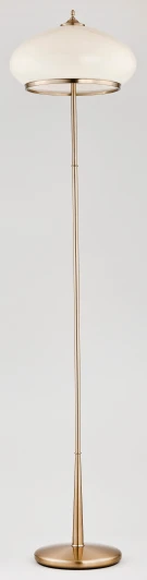 24479 Торшер Alfa Astoria 24479