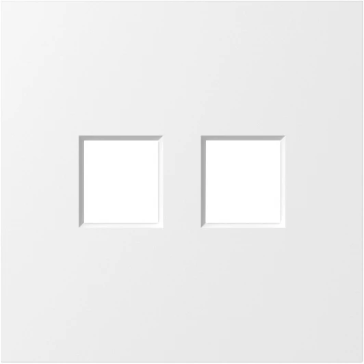 DS86933 Накладка 2-я для розеток RJ45,TV,SAT, матовый белый Donel S08 DS86933