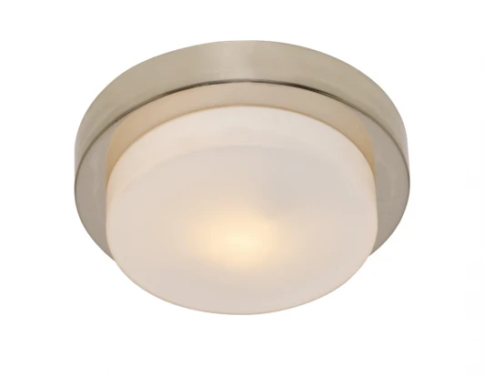 A8510PL-1SS Потолочный светильник Arte Lamp Aqua A8510PL-1SS