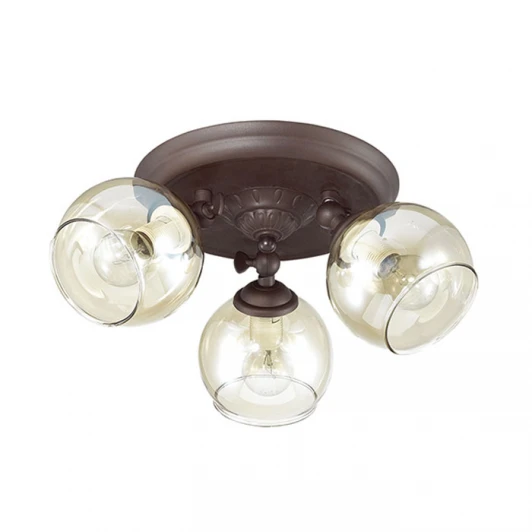 3100/3CA Потолочная люстра Lumion Clodina 3100/3CA