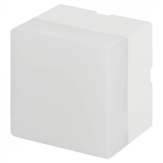 SML-AC-2-W-4K-04 Настенно-потолочный светильник светодиодный ЭРА SML-AC-2-W-4K-04