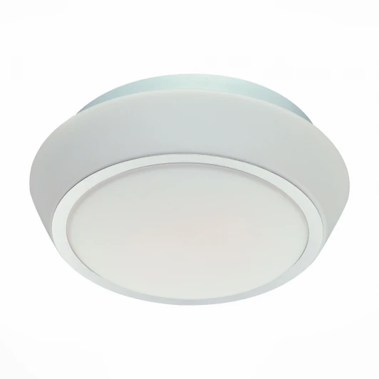 SL496.502.03 Настенно-потолочный светильник ST Luce Bagno SL496.502.03