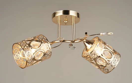 000067896 Потолочная люстра на штанге Мелодия Света SS1N SS4816-2 GD 000067896