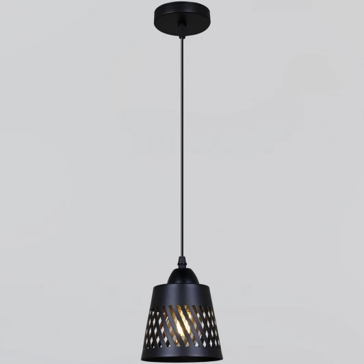 06172-0.9-01 BK Подвесной светильник Reluce 06172-0.9-01 BK (220V, на проводе)