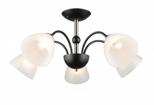 MD.4188-5-S-BK+AB Потолочная люстра Imex MD.4188-5-S-BK+AB