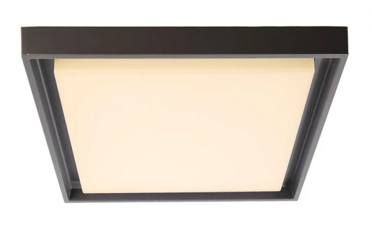 348070 Потолочный светильник уличный Deko-Light Arneb 348070 (LED, 220V, IP54)