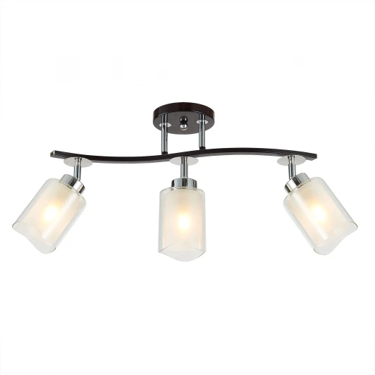 CL156132 Потолочная люстра на штанге Citilux Фортуна CL156132 (220V)