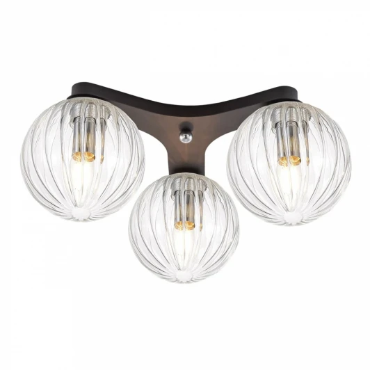 CL116131 Потолочная люстра Citilux Коптер CL116131