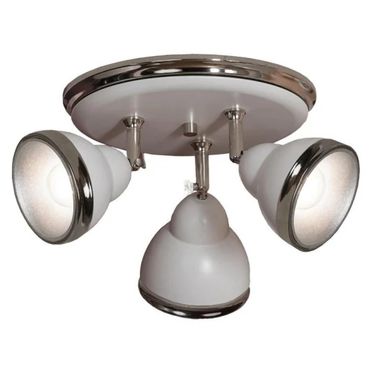 GRLSN-6211-03 Спот Lussole Littleton GRLSN-6211-03